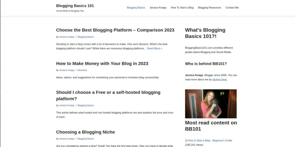 Homepage of Blogging Basics